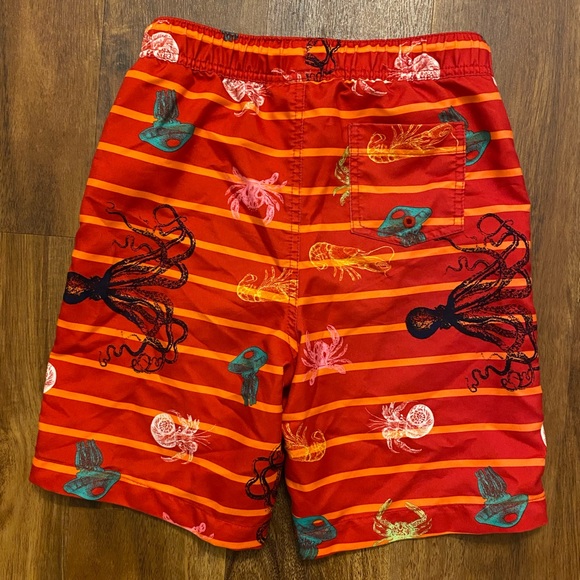 Land’s End Swim Trunks - Picture 2 of 7